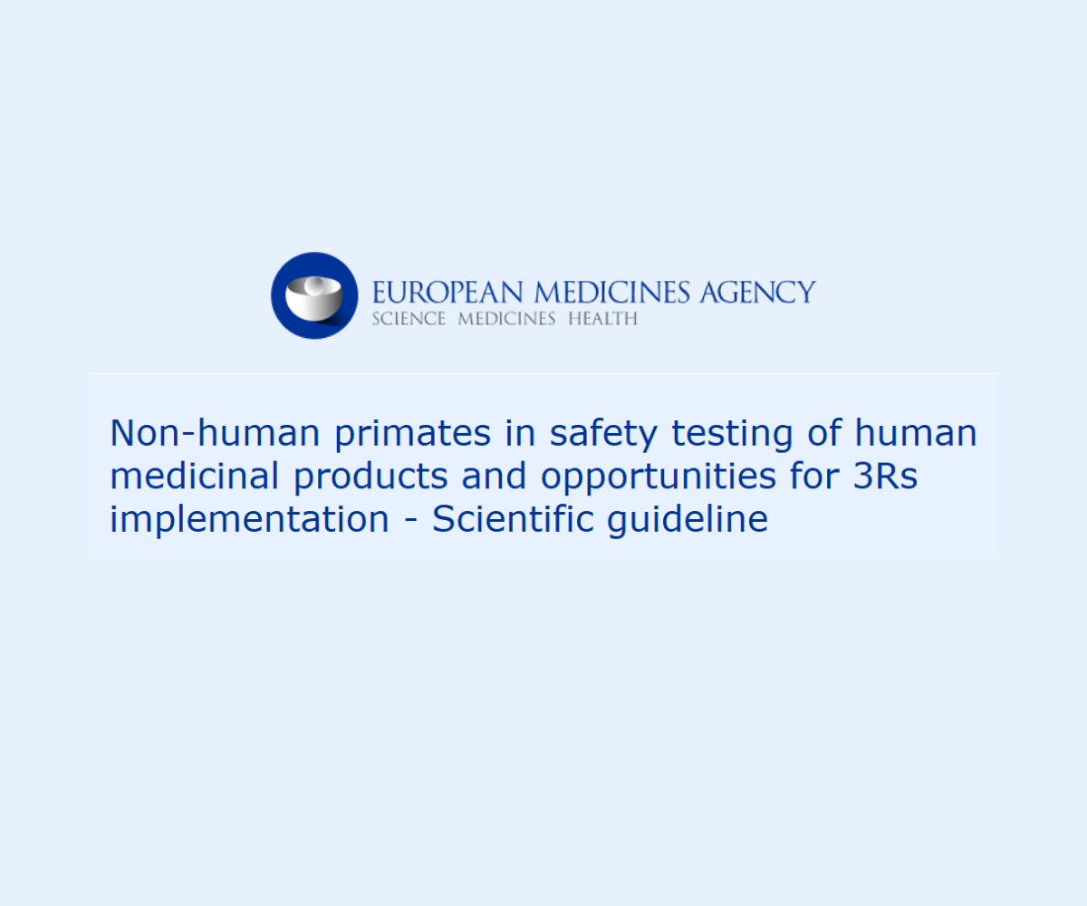 L’EMA apre una consultazione sull’uso dei primati non umani nei test di sicurezza