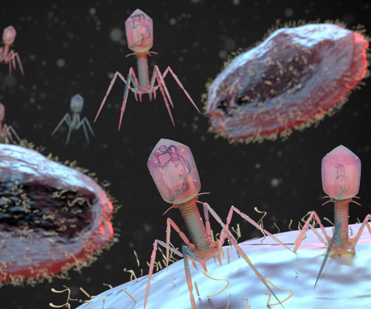 EMA apre una consultazione sui medicinali per la terapia fagica