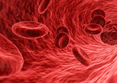 blood-cells