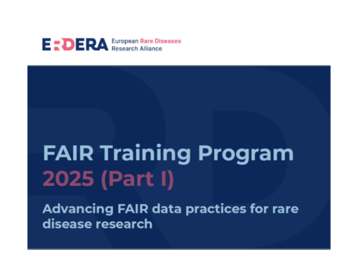FGB participation in the FAIR Training School 2025