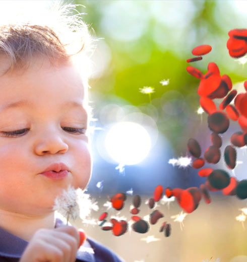 Patients’ guide “Living well with Thalassaemia” is here