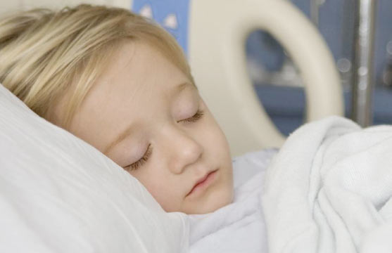 CloSed Newsletter – Issue 2